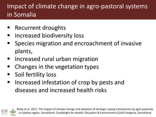 Climate change and herd management adaptation strategies