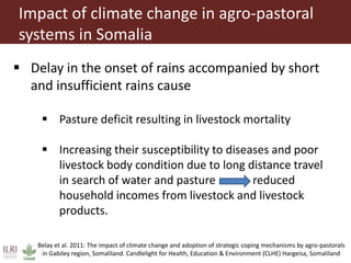 Climate change and herd management adaptation strategies