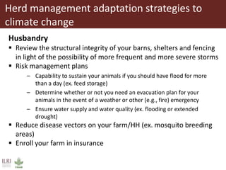 Climate change and herd management adaptation strategies