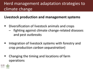 Climate change and herd management adaptation strategies