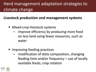 Climate change and herd management adaptation strategies