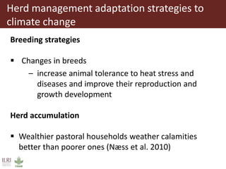 Climate change and herd management adaptation strategies