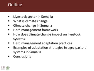 Climate change and herd management adaptation strategies