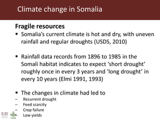 Climate change and herd management adaptation strategies
