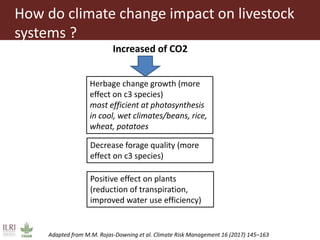 Climate change and herd management adaptation strategies