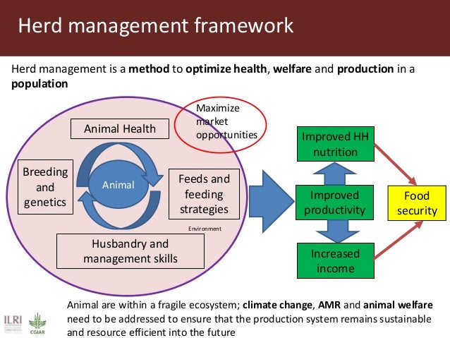 Climate change and herd management adaptation strategies
