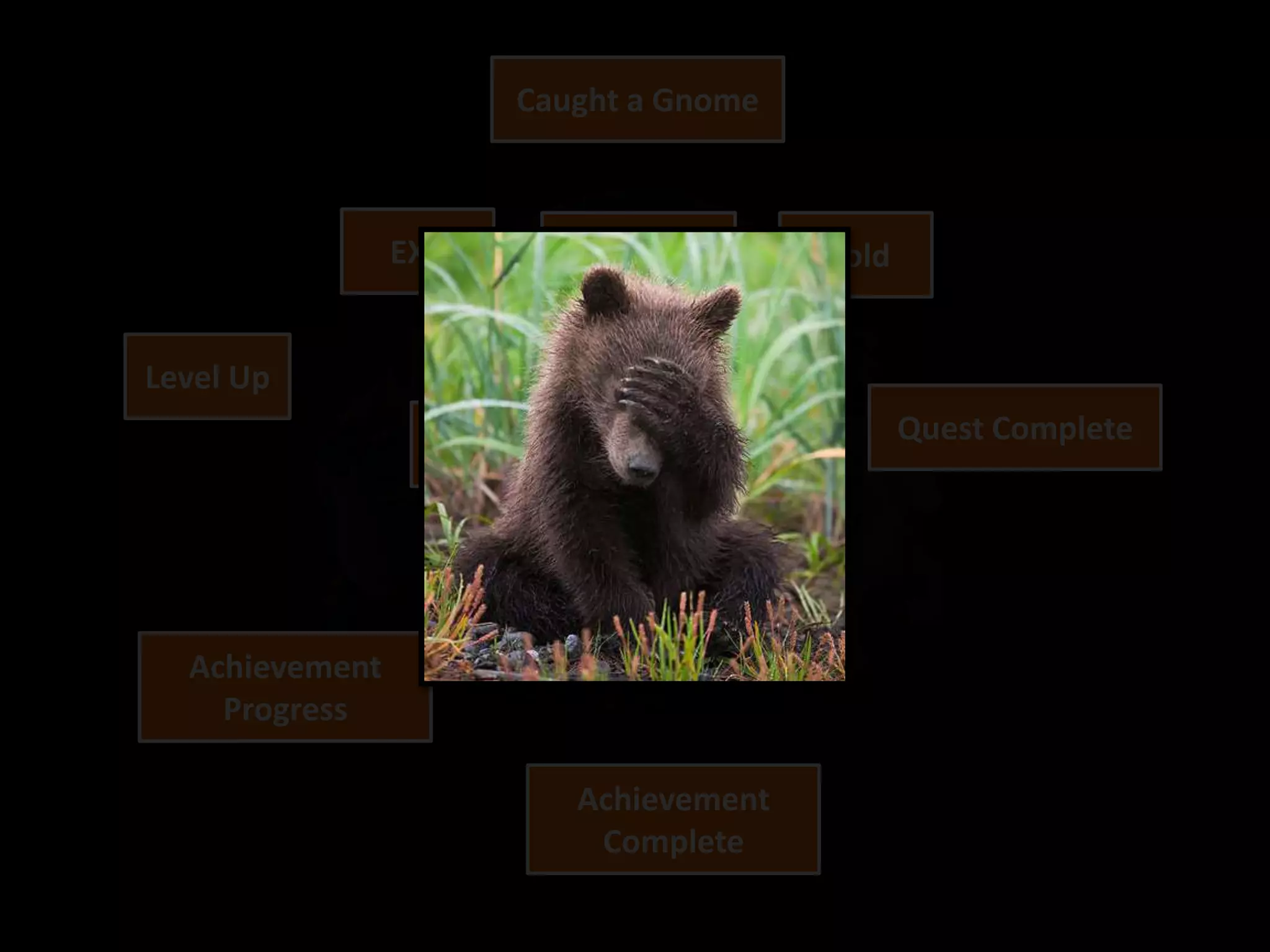 Level Up
Quest Progress
EXP Item Gold
Caught a Gnome
Quest Complete
New Quest
Achievement
Progress
Achievement
Complete
 