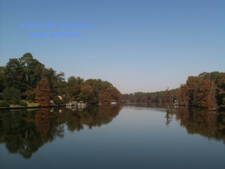 In the Fall, the bayou
looks beautiful.
 