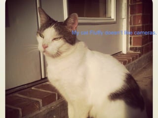 My cat Fluffy doesn’t like cameras.
 