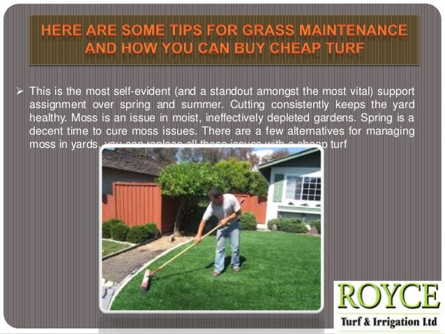 here are some tips for grass maintenance and how you can buy cheap tu cheap lawn maintenance