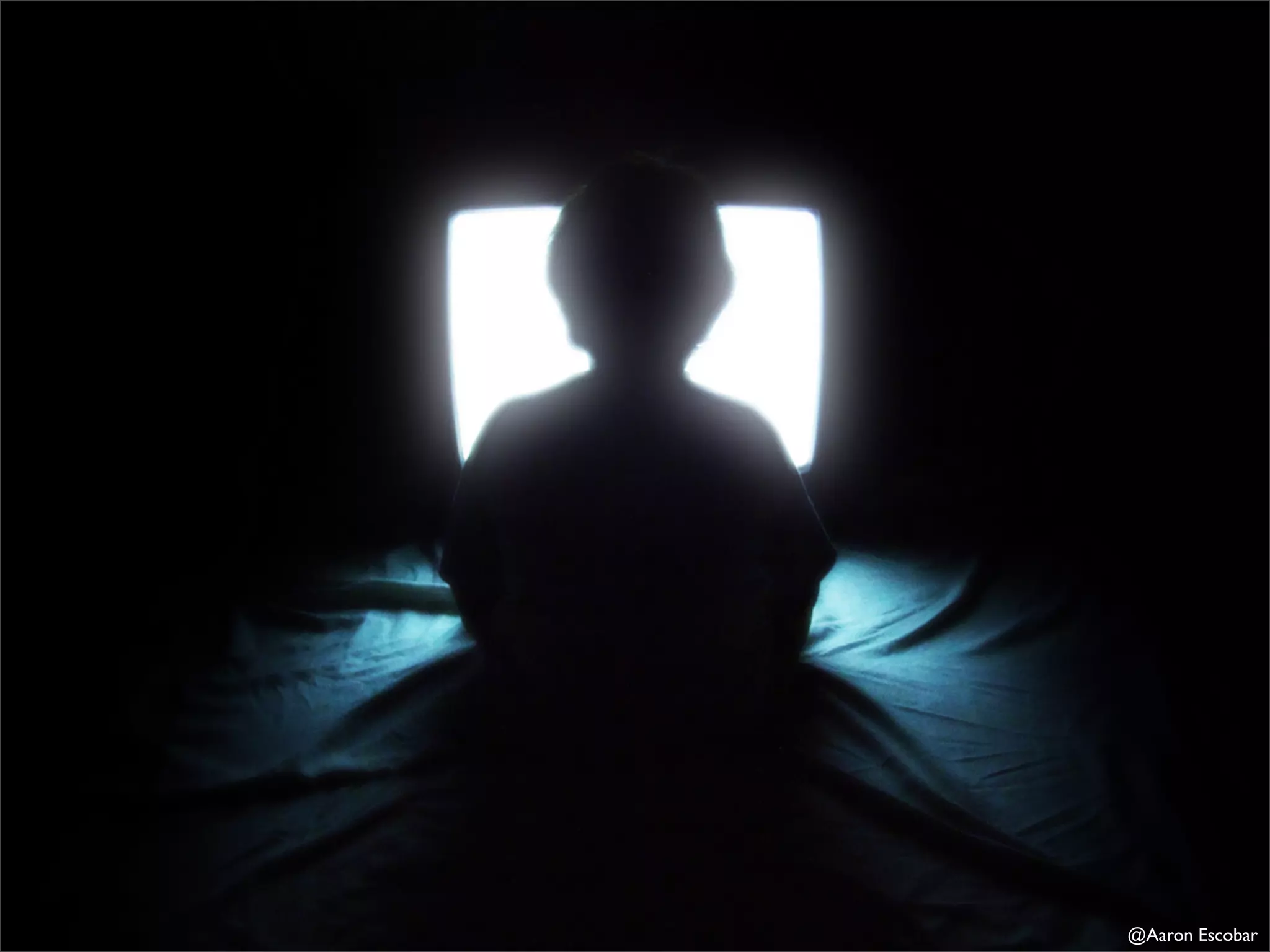 Here Comes Everybody