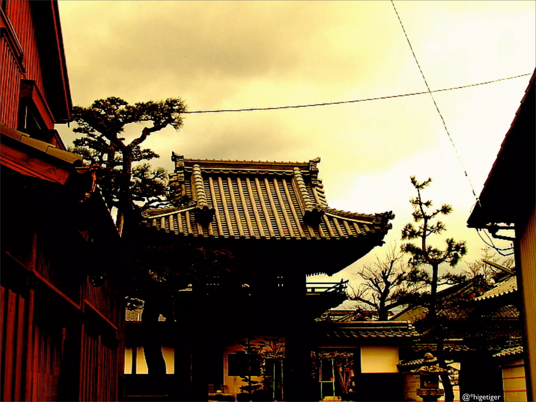 Here Comes Everybody