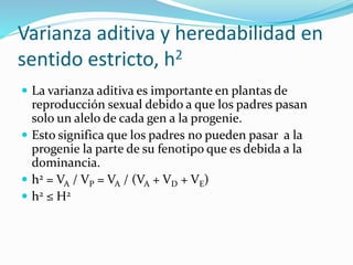 Varianza aditiva y heredabilidad en 
sentido estricto, h2 
 La varianza aditiva es importante en plantas de 
reproducción sexual debido a que los padres pasan 
solo un alelo de cada gen a la progenie. 
 Esto significa que los padres no pueden pasar a la 
progenie la parte de su fenotipo que es debida a la 
dominancia. 
 h2 = VA / VP = VA / (VA + VD + VE) 
 h2 ≤ H2 
 