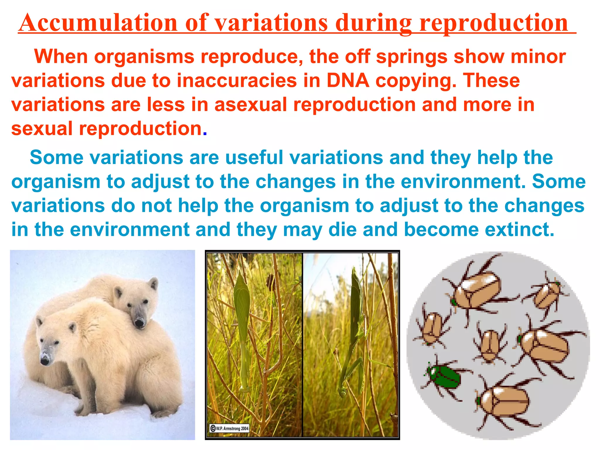 Accumulation of variations during reproduction
When organisms reproduce, the off springs show minor
variations due to inaccuracies in DNA copying. These
variations are less in asexual reproduction and more in
sexual reproduction.
Some variations are useful variations and they help the
organism to adjust to the changes in the environment. Some
variations do not help the organism to adjust to the changes
in the environment and they may die and become extinct.
 