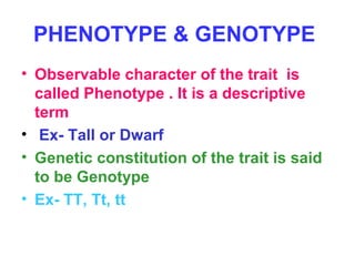 PHENOTYPE & GENOTYPE
• Observable character of the trait is
called Phenotype . It is a descriptive
term
• Ex- Tall or Dwarf
• Genetic constitution of the trait is said
to be Genotype
• Ex- TT, Tt, tt
 