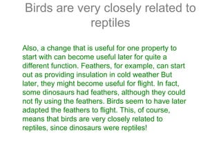 Also, a change that is useful for one property to
start with can become useful later for quite a
different function. Feathers, for example, can start
out as providing insulation in cold weather But
later, they might become useful for flight. In fact,
some dinosaurs had feathers, although they could
not fly using the feathers. Birds seem to have later
adapted the feathers to flight. This, of course,
means that birds are very closely related to
reptiles, since dinosaurs were reptiles!
Birds are very closely related to
reptiles
 