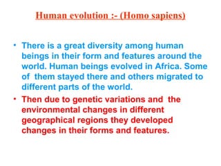 Human evolution :- (Homo sapiens)
• There is a great diversity among human
beings in their form and features around the
world. Human beings evolved in Africa. Some
of them stayed there and others migrated to
different parts of the world.
• Then due to genetic variations and the
environmental changes in different
geographical regions they developed
changes in their forms and features.
 