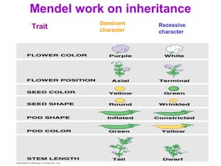 Mendel work on inheritance
Trait
Dominant
character
Recessive
character
 