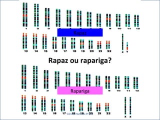 Rapaz 
Rapaz ou rapariga? 
Rapariga 
Ciências Naturais 9º ano 
 