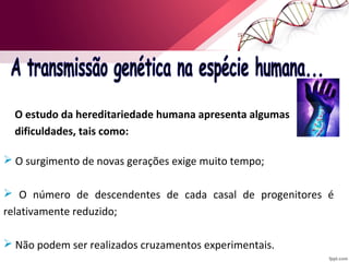 O estudo da hereditariedade humana apresenta algumas 
dificuldades, tais como: 
 O surgimento de novas gerações exige muito tempo; 
 O número de descendentes de cada casal de progenitores é 
relativamente reduzido; 
 Não podem ser realizados cruzamentos experimentais. 
 
