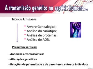 TÉCNICAS UTILIZADAS: 
* Árvore Genealógica; 
* Análise do cariótipo; 
* Análise de proteínas; 
* Análise de ADN. 
Permitem verificar: 
- Anomalias cromossómicas 
- Alterações genéticas 
- Relações de paternidade e de parentesco entre os indivíduos. 
 