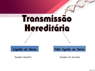 Ligada ao Sexo Não ligada ao Sexo 
Exemplo: Exemplo: Hemofilia Cor dos olhos 
 