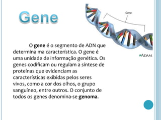 Gene	O gene é o segmento de ADN que determina ma característica. O gene é uma unidade de informação genética. Os genes codificam ou regulam a síntese de proteínas que evidenciam as características exibidas pelos seres vivos, como a cor dos olhos, o grupo sanguíneo, entre outros. O conjunto de todos os genes denomina-se genoma.