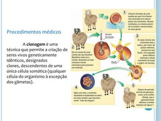 Procedimentos médicos	A clonagem é uma técnica que permite a criação de seres vivos geneticamente idênticos, designados clones, descendentes de uma única célula somática (qualquer célula do organismo à excepção dos gâmetas).