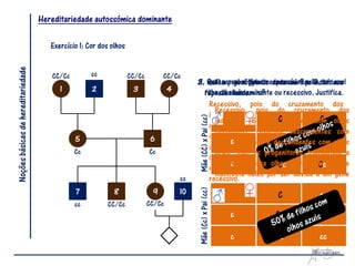 Hereditariedade autossómica dominante

                                       Exercício 1: Cor dos olhos
Noções básicas de hereditariedade




                                       CC/Cc         cc             CC/Cc        CC/Cc
                                                                                             3. Qual a o se o genede cada um 9 pela cor azul
                                                                                             2. Indica probabilidaderesponsáveldos 10, ter um
                                                                                              1. Refere genótipo do casal e indivíduos
                                          1          2               3              4           filho de olhos azuis? ou recessivo. Justifica.
                                                                                                 dos olhos é dominante
                                                                                                representados.
                                                                                                  Recessivo, pois do cruzamento dos
                                                                                                    Recessivo, pois do cruzamento dos
                                                                                                  indivíduos 5 e 6 (ambos com olhos




                                                                                              Mãe (CC) x Pai (cc)
                                                                                                    indivíduos 5 e 6C (ambos com olhosC
                                                                                                  castanhos), resultam descendentes com
                                                                                                    castanhos), resultam descendentes com
                                               5                            6                     olhos castanhos e descendentes com olhos
                                                                                                    olhosccastanhos e descendentes Cc olhos
                                                                                                                        Cc           com
                                                                                                  azuis, logo os progenitores transmitem a
                                               Cc                           Cc                      azuis, logo os progenitores transmitem a
                                                                                                  informação para olhos azuis que não se
                                                                                                          c
                                                                                                    informação para olhos azuis que não se
                                                                                                                        Cc           Cc
                                                                                                  manifesta neles por ser devida a um gene
                                                                                                    manifesta neles por ser devida a um gene
                                                                                        cc        recessivo.
                                                                                                    recessivo.

                                                                                              Mãe (Cc) x Pai (cc)
                                               7             8               9          10                              C           c
                                               cc         CC/Cc             CC/Cc
                                                                                                                    c   Cc          cc
                                                                                    1
                                                                                    0                               c   Cc          cc
 