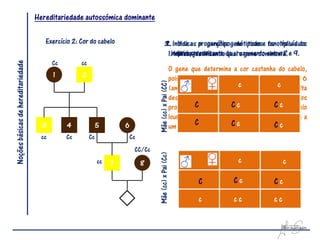 Hereditariedade autossómica dominante

                                       Exercício 2: Cor do cabelo                         3. Indica as proporções genótipicas e fenotípicas do
                                                                                          2. Indica o genótipo de todos os indivíduos
                                                                                           1.individuojustificando do cruzamento entre 8 e 9.
                                                                                              representados.
                                                                                               Indica, resultante qual o gene dominante.
Noções básicas de hereditariedade



                                           Cc        cc
                                                                                                  O gene que determina a cor castanha do cabelo,
                                           1         2                                            pois do cruzamento entre os indivíduos 5 e 6




                                                                                     Mãe (cc) x Pai (CC)
                                                                                                  (ambos com cabelo c castanho), c resulta
                                                                                                  descendência com cabelo louro, logo ambos os
                                                                                                  progenitores possuemC a informação C c cabelo
                                                                                                           C              c            para
                                                                                                  louro não se manifestando neles por ser devida a
                                      3         4              5        6                                  C
                                                                                                  um gene recessivo. C c               Cc
                                      cc        Cc        Cc                Cc
                                                                             CC/Cc
                                                               cc   7            8   Mãe (cc) x Pai (Cc)                  c                c

                                                                                                            C           Cc            Cc
                                                                        1
                                                                        0                                   c           cc            cc
 