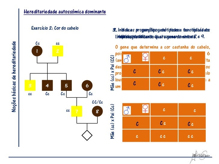 O Nome Da Unidade Básica Da Hereditariedade