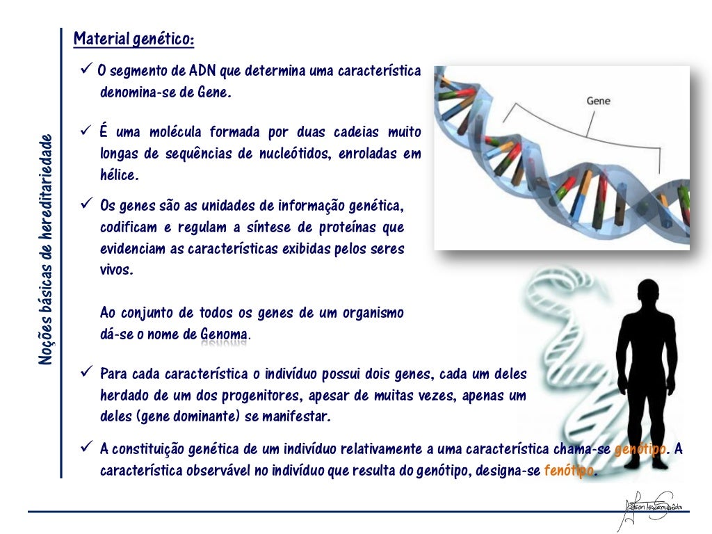 Que Nome Recebe A Representação Gráfica Usada Em Genética