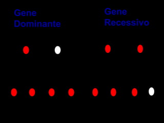 Gene
Dominante
Gene
Recessivo
 