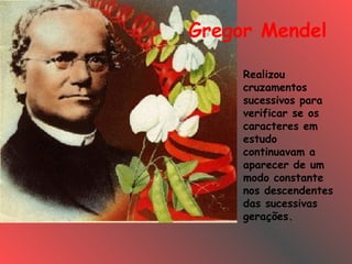 Gregor Mendel
Realizou
cruzamentos
sucessivos para
verificar se os
caracteres em
estudo
continuavam a
aparecer de um
modo constante
nos descendentes
das sucessivas
gerações.
 