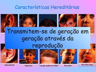 Características Hereditárias
Transmitem-se de geração em
geração através da
reprodução
 