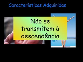 Características Adquiridas
Não se
transmitem à
descendência
 