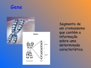 Segmento de um cromossoma que contém a informação sobre uma determinada característica.  Gene 