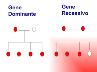 Gene Dominante Gene Recessivo 
