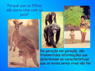 Porquê que os filhos são parecidos com os pais? De geração em geração, são transmitidas informações que determinam as características que os novos seres vivos vão ter. 