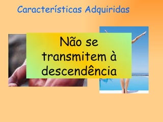 Características Adquiridas Não se transmitem à descendência 
