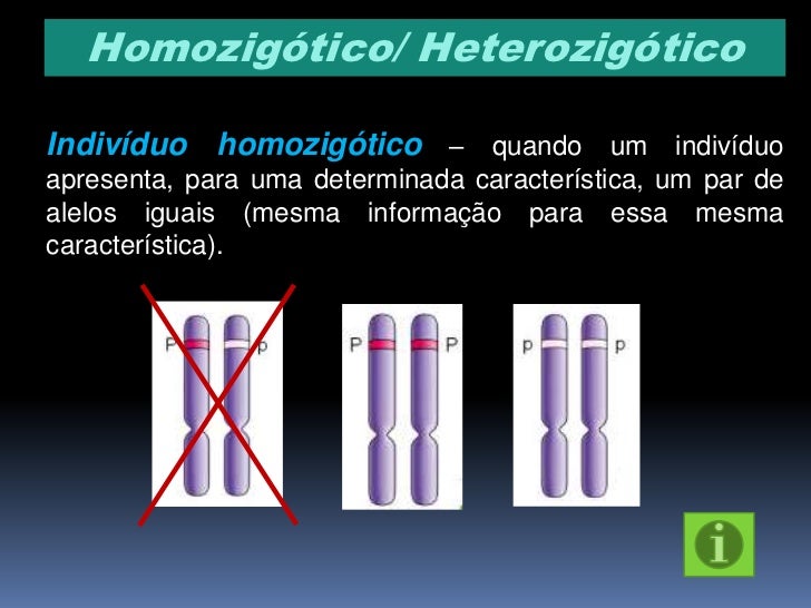 Explique Os Termos Homozigoto Heterozigoto Genótipo E Fenótipo