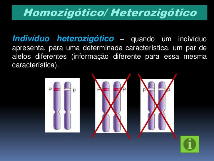 O Gene Que Só Se Expressa Quando Em Dose Dupla
