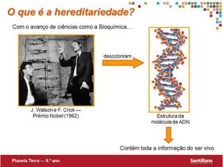 Hereditariedade