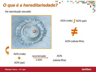 Hereditariedade