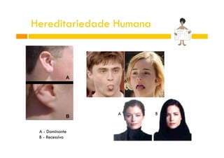 Hereditariedade Humana

A

A

A - Dominante
B - Recessivo

B

B

 