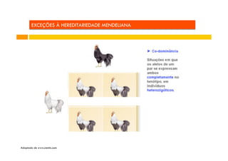 EXCEÇÕES À HEREDITARIEDADE MENDELIANA

Adaptado de www.cientic.com

 