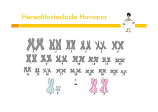 Hereditariedade Humana

 
