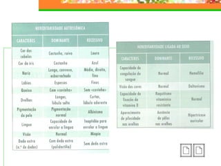 Hereditariedade 2007