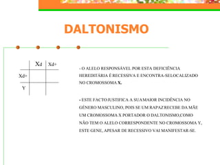 Hereditariedade 2007