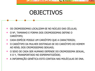 Hereditariedade 2007